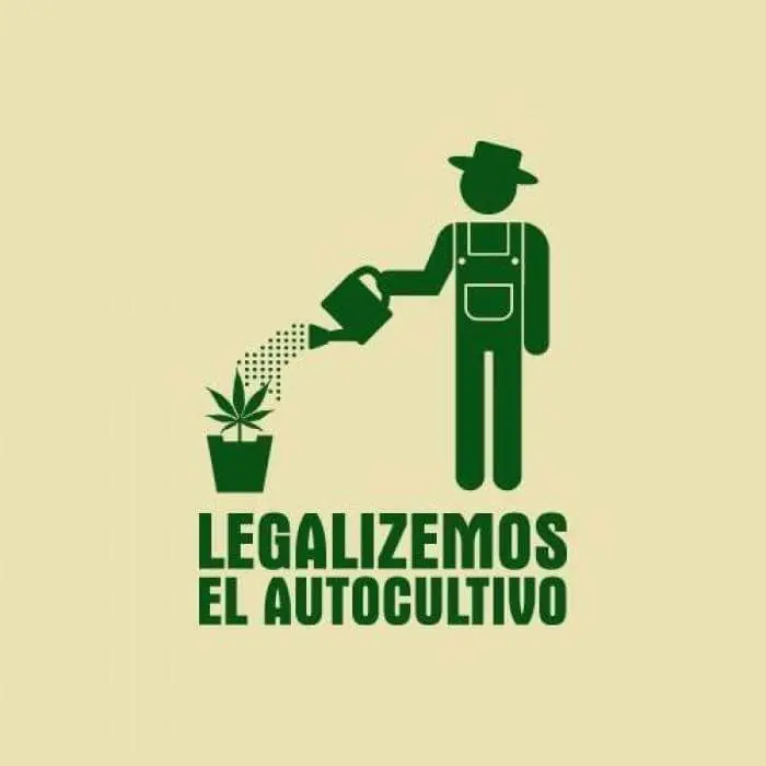 marihuana marihuana