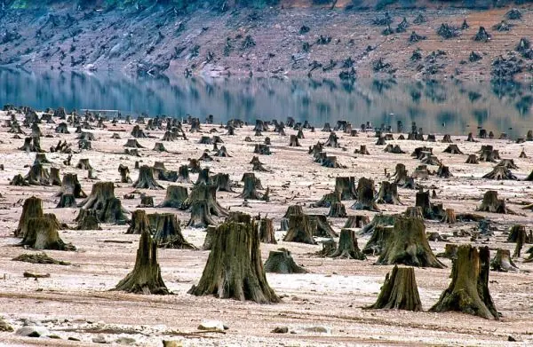 Contaminación del medio ambiente.