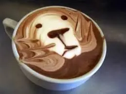 espuma