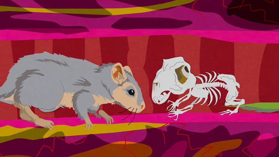 ¿Qué es la formicofilia?