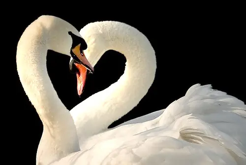 frases de amor,romanticas