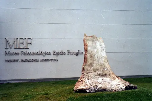 Museo Paleontologico Egidio Feruglio (MEF) Trelew-Chubut