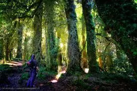 Un Paraiso en la Patagonia - El Valle de Cochamó Un Paraiso en la Patagonia - El Valle de Cochamó