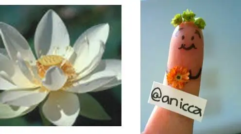 Finguer art, huevitos y mis gomas-fotos propias