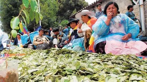 Blanca y Mary matan, Coca es vida