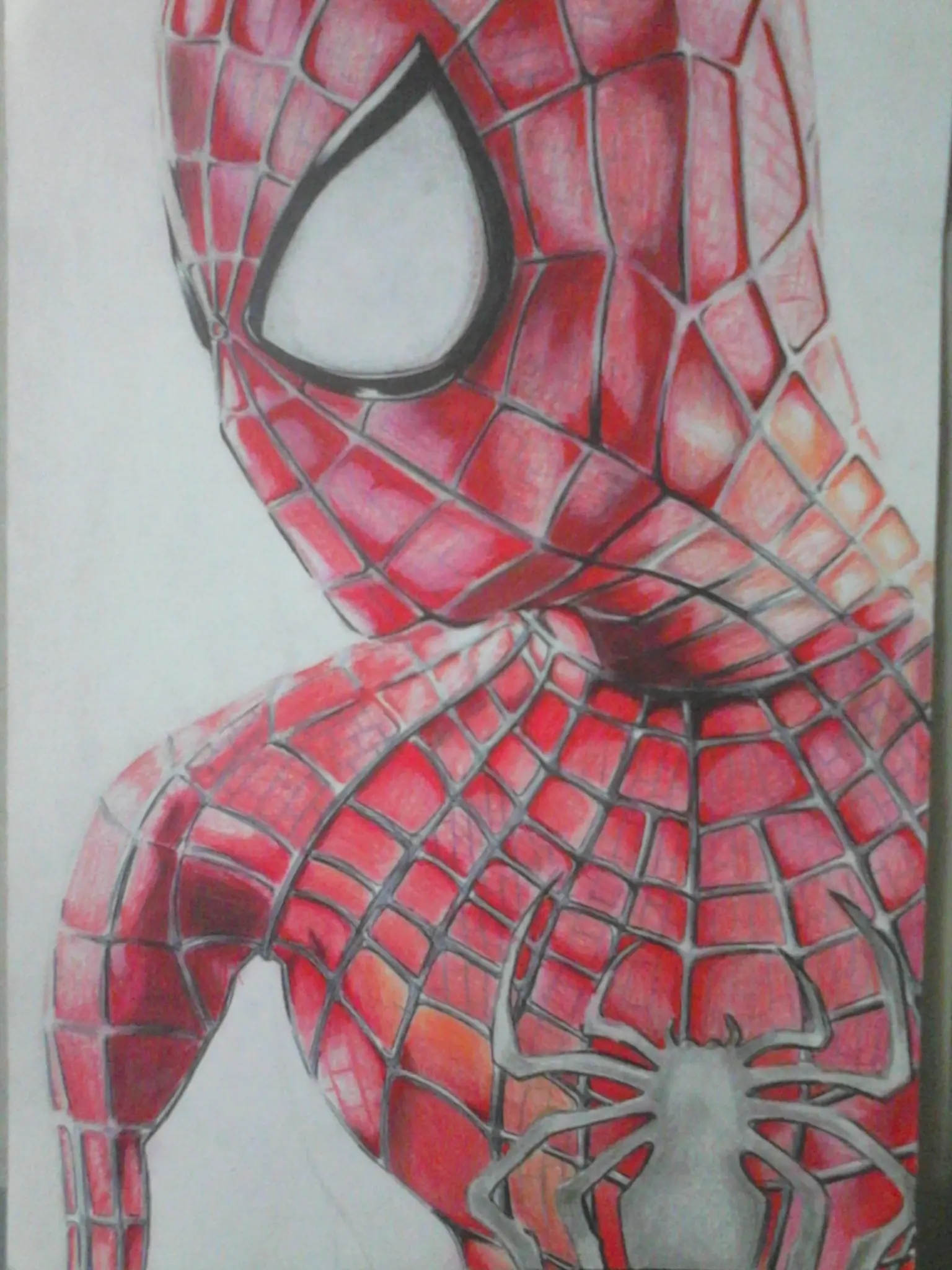 Dibujando a Spider-Man (Knight)