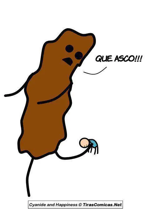 wachiturrosgays