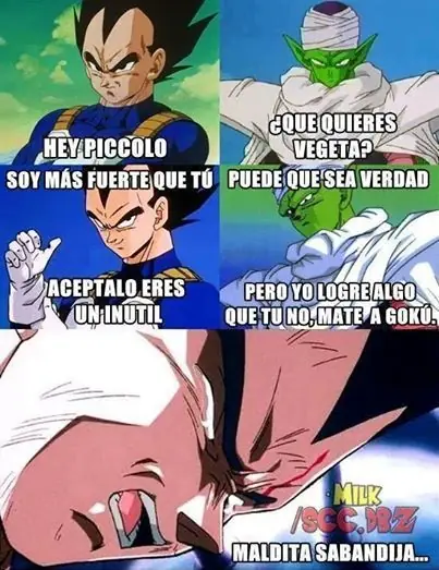 Dragon Ball Z