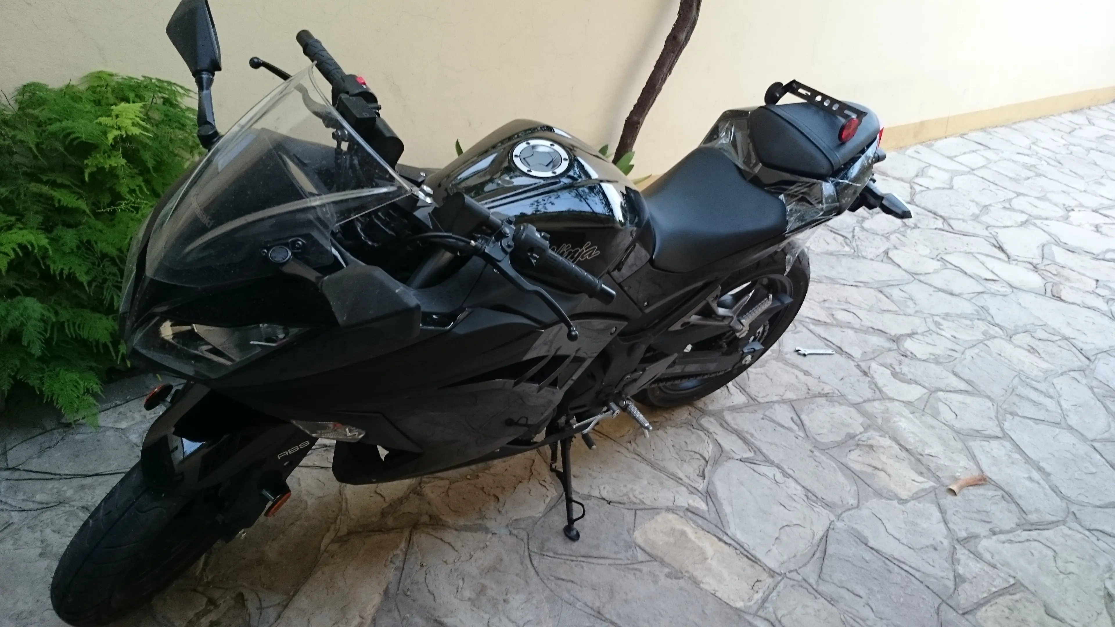 ninja 300