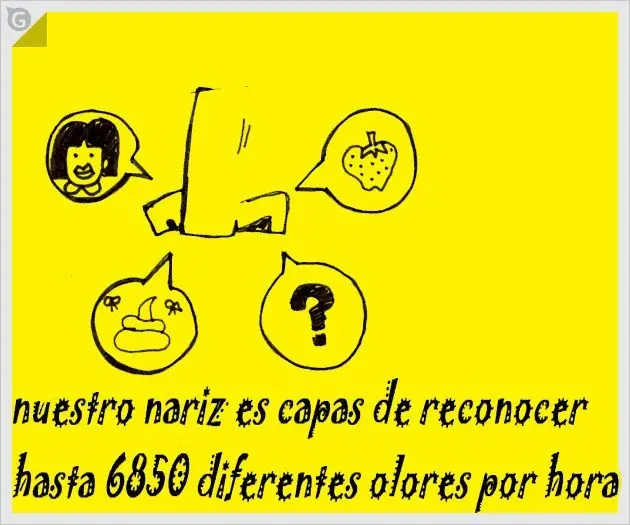 Curiosidades con falta de ortografía mal.. entren