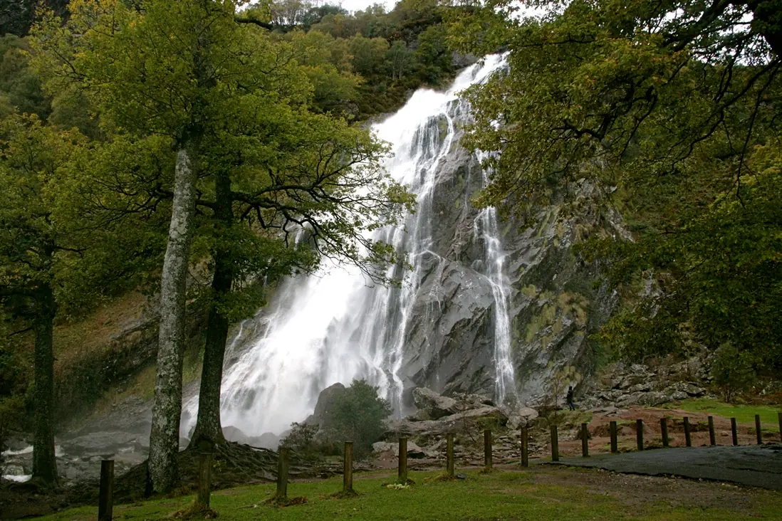 +10  Powerscourt House