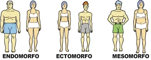 Ectomorfos: Alimentación, Suplementos y entrenamiento para