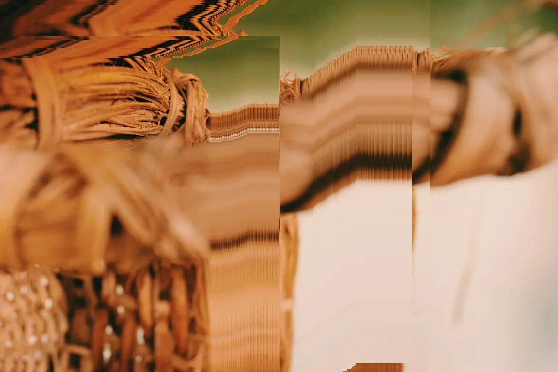 glitch photo