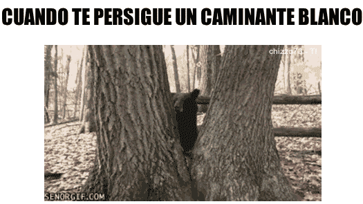 Las mejores herramientas para crear GIF animados