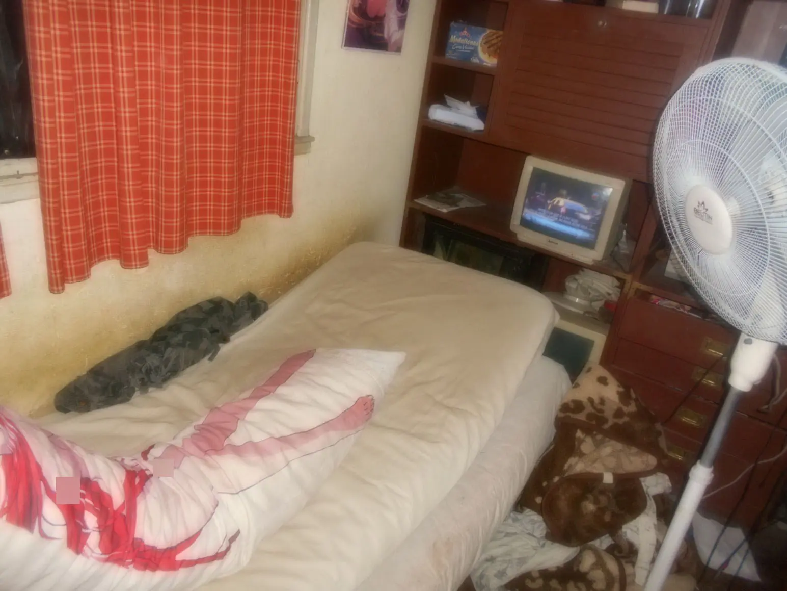 Tuve discuciones con mi novia almohada otaku, te cuento todo