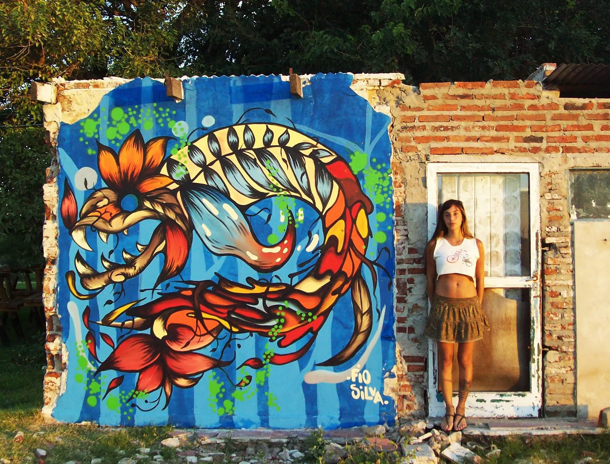 El arte callejero de Fiorela Silva El arte callejero de Fiorela Silva