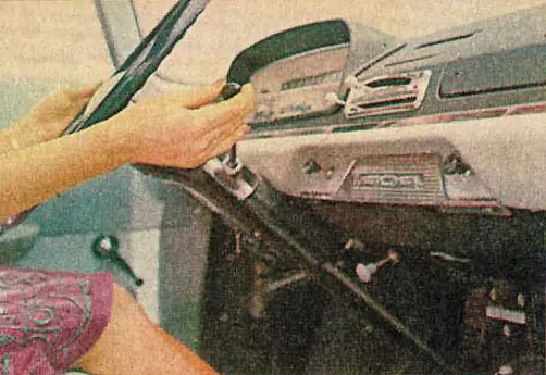 auto argentino