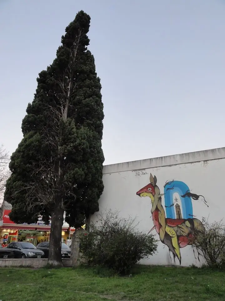 arte arte