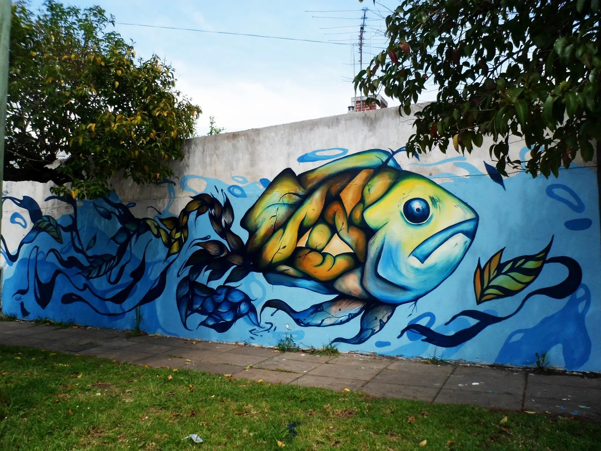 Pintura Pintura