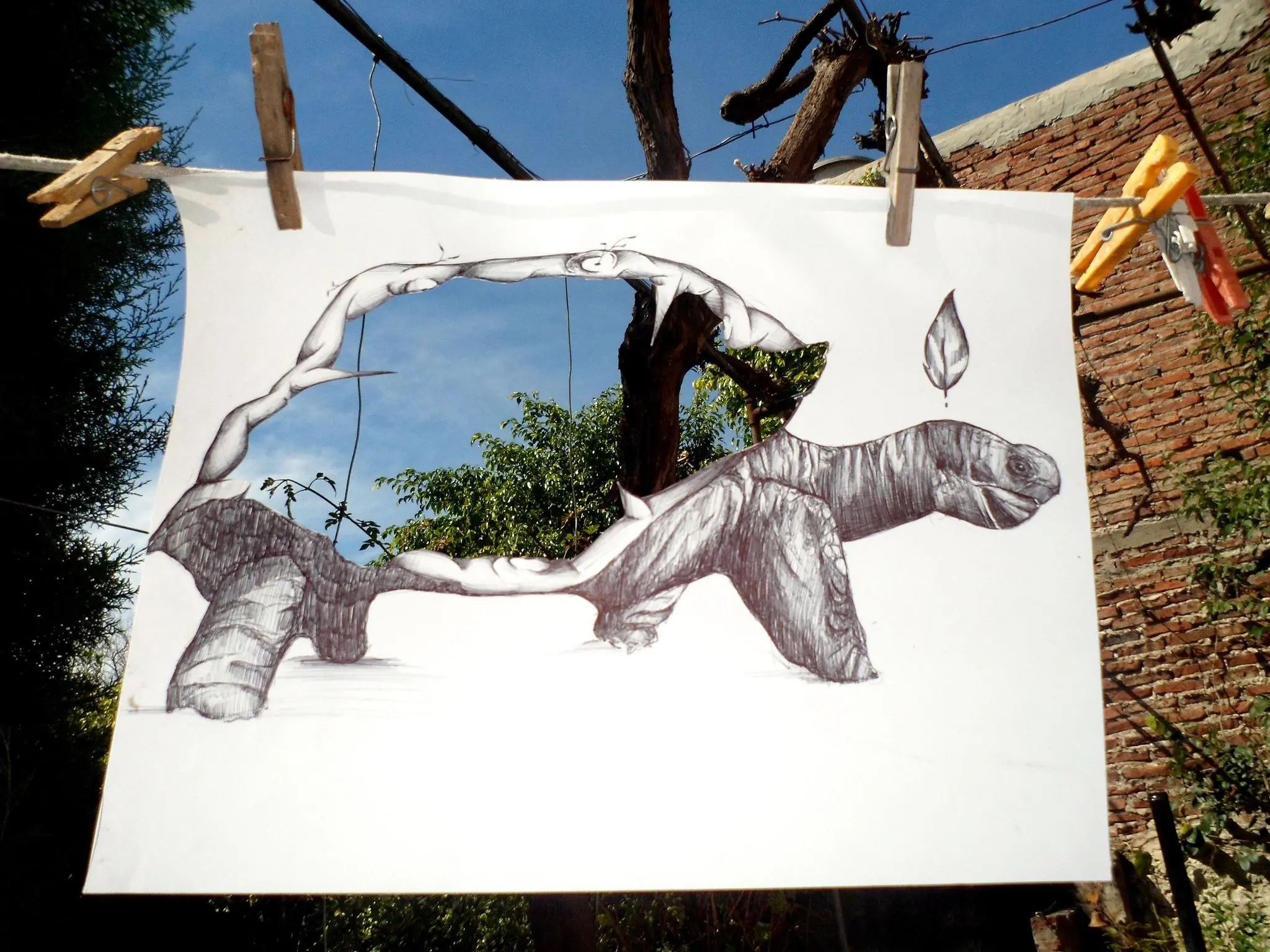 arte arte