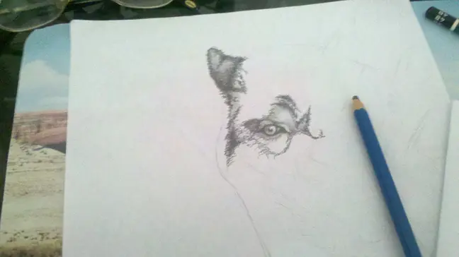 Dibujos propios