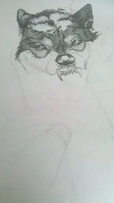 Recopilación de Dibujos hechos a lapiz