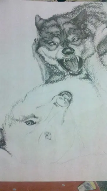 Dibujos propios