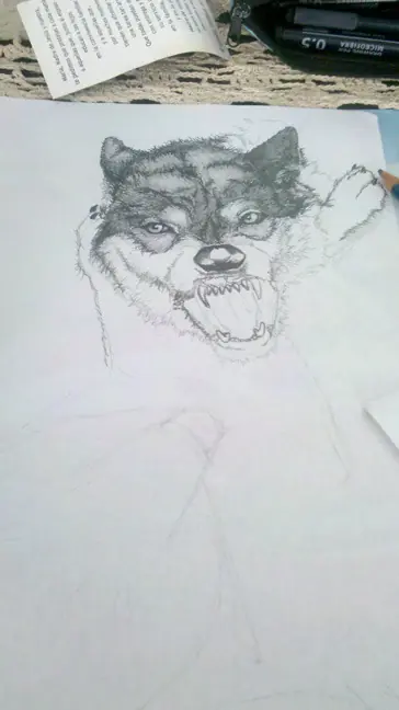 Dibujo