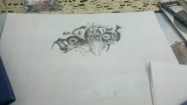 Dibujos propios