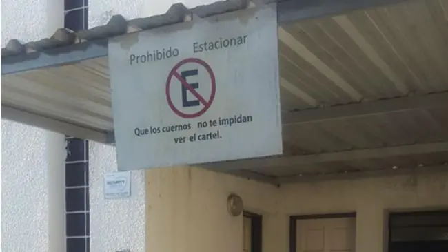 Mira lo que están esos carteles papaa