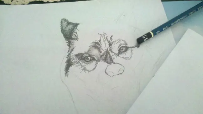 arte