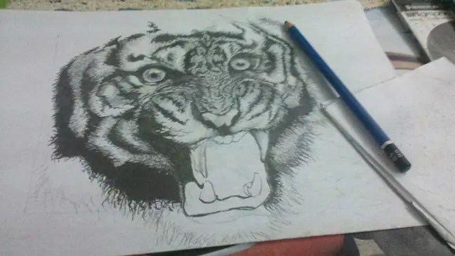 Dibujos propios