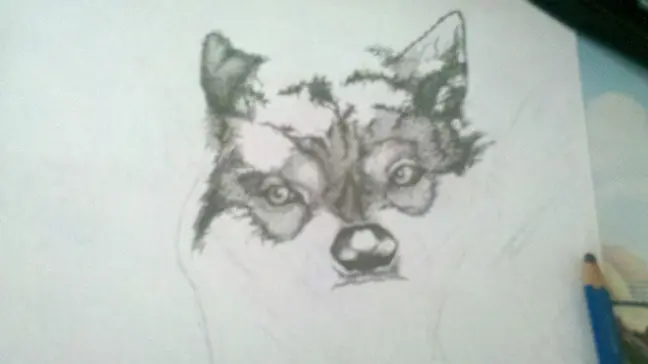 dibujos a lapiz