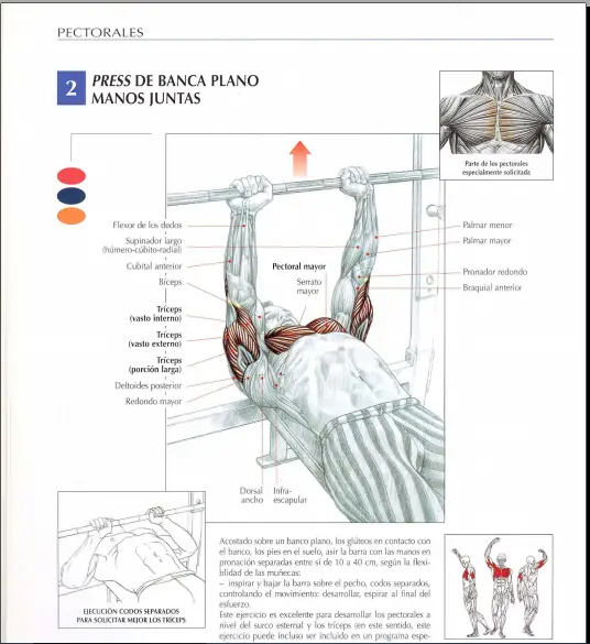 Queres mejorar tu cuerpo? Entra lince!