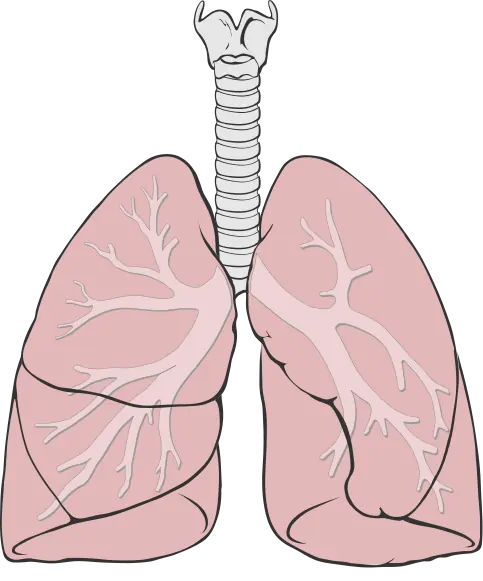 Notición: Vacuna contra el cáncer de pulmón - Made In Arg.