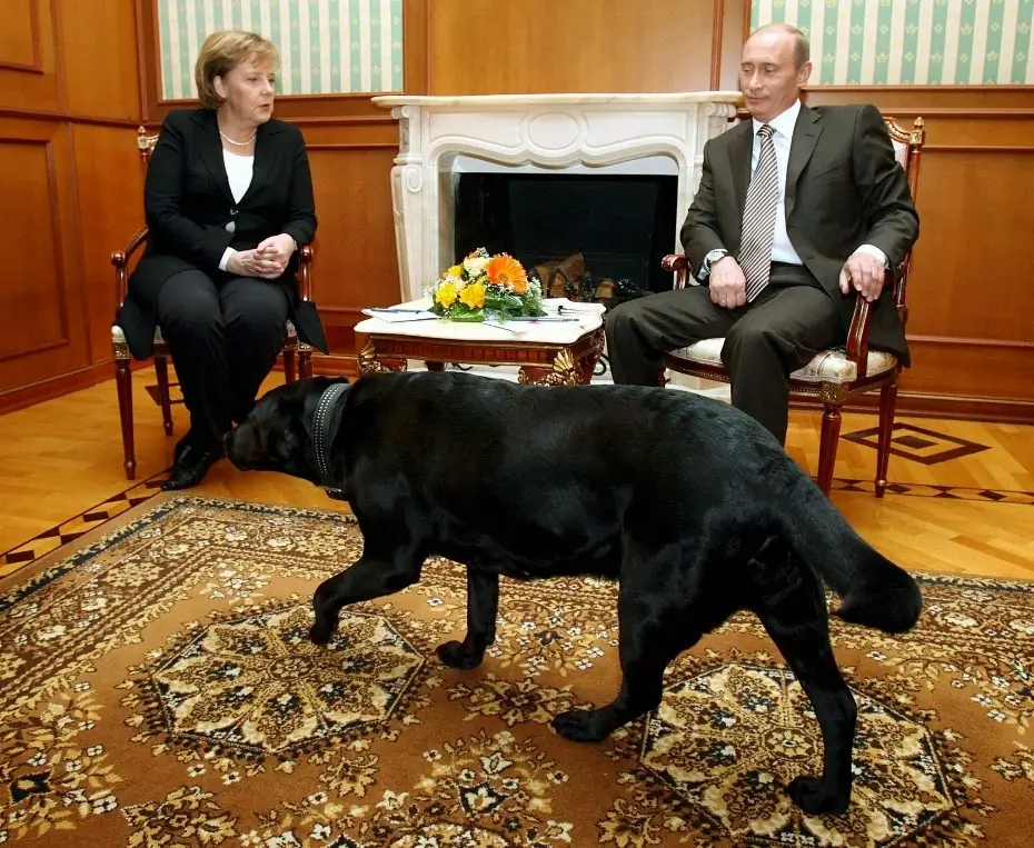 Merkel