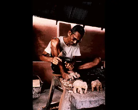humanidad humanidad