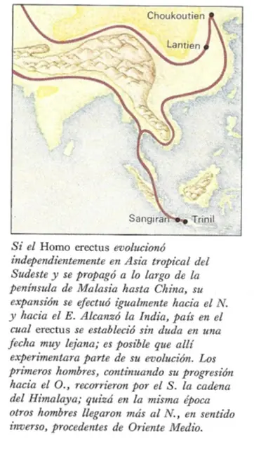 lenguaje