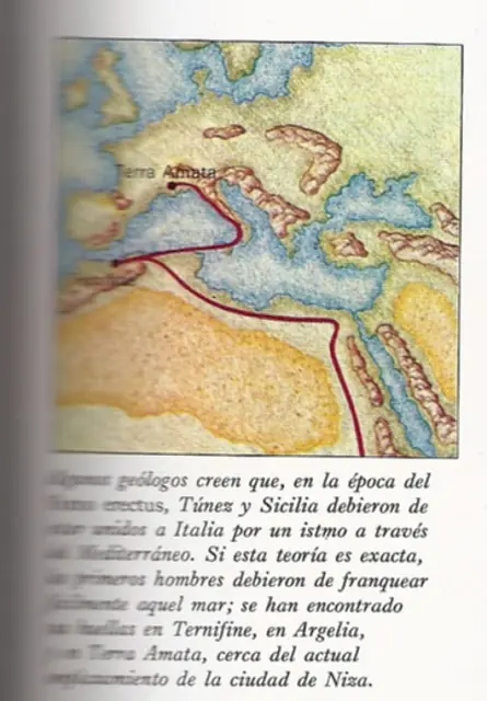 EVOLUCIÓN