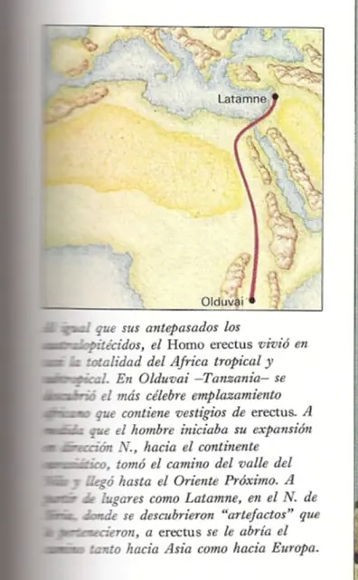 lenguaje