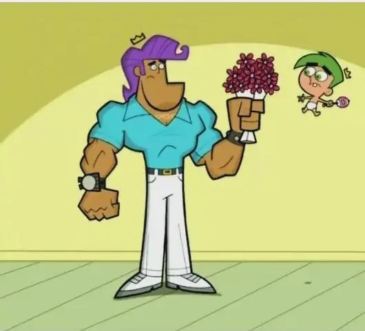Padrinos Magicos