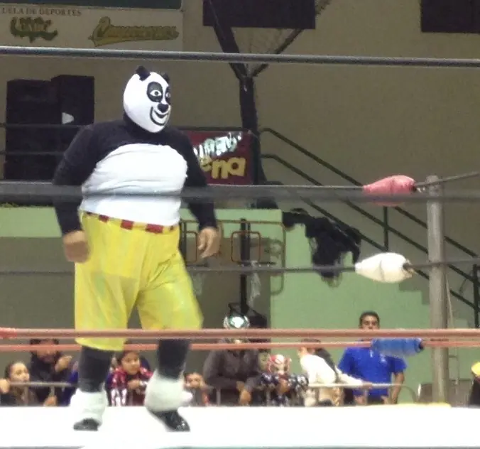 Lucha Libre Lucha Libre