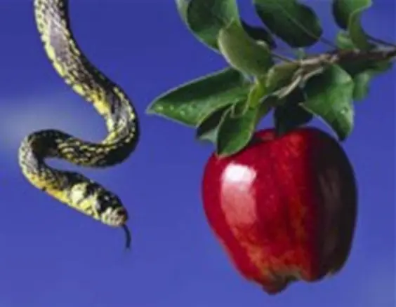 2ª¿Reptil "satanas" del Edén, podría haber exi 2ª¿Reptil "satanas" del Edén, podría haber exi