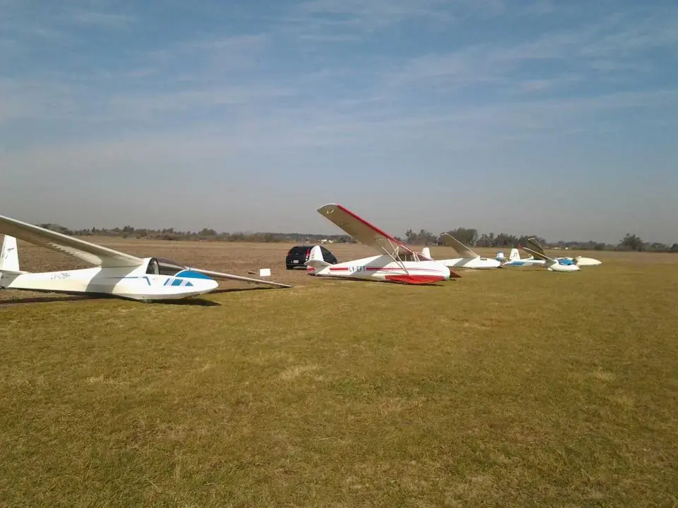 piloto