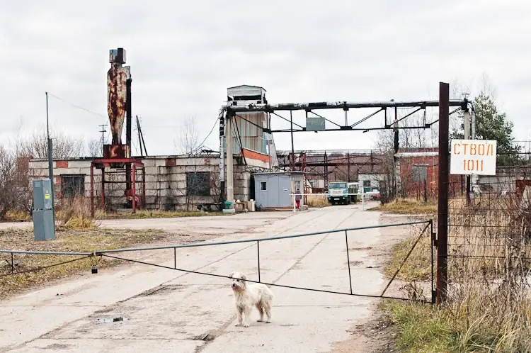 abandono