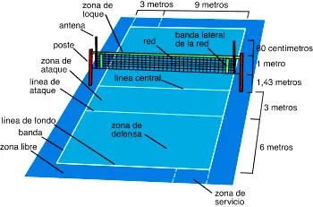 Voleibol o volley (reglas)