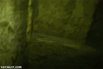 reite con estos gif