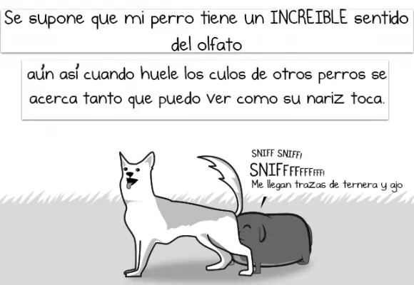 paradojas