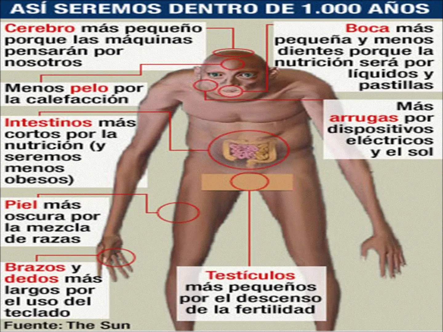 evolucion