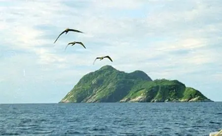 mujer sobrevive 7 años en una isla desierta(sobrevivencia)